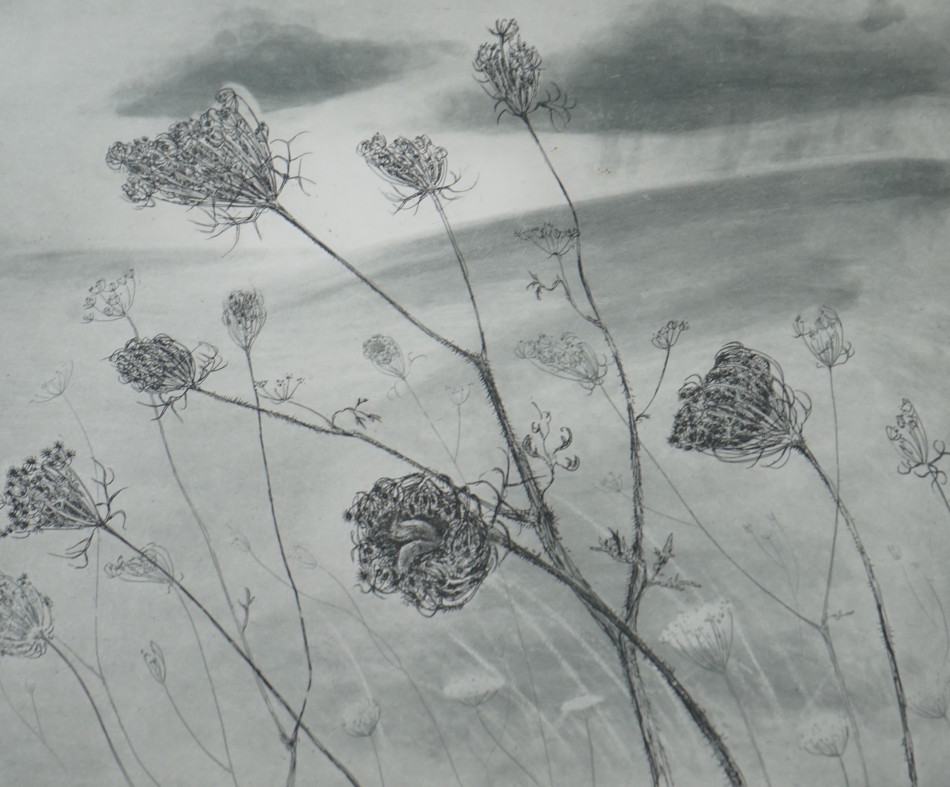 Two Contemporary prints comprising Eileen Martin, collagraph, ‘Line and Movement II’, limited edition 1 of 20, signed in pencil and Flora McLachlan, monochrome etching, ‘Shelter from grey weather’, limited edition 32 of